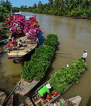 mekong delta 2 days